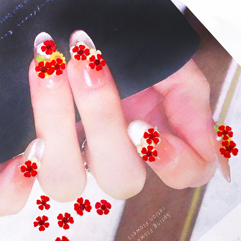 96 pièces, mini-fleurs naturel - Resin Art Baby avis et prix