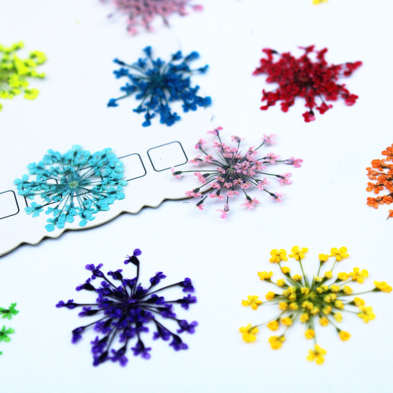 500 pièces de fleurs en dentel - Resin Art Baby avis et prix