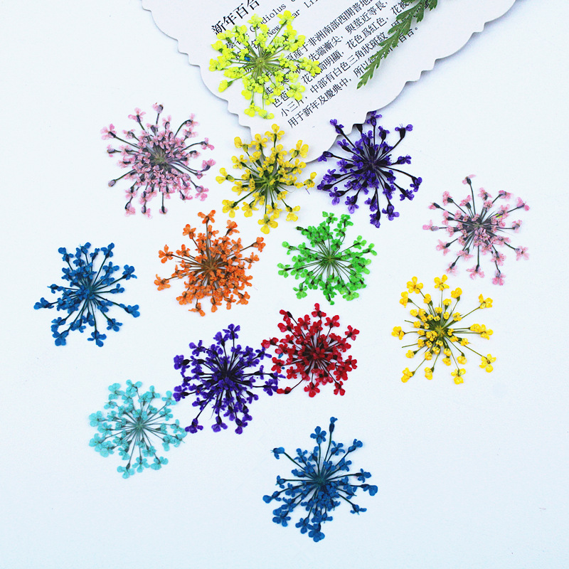 500 pièces de fleurs en dentel - Resin Art Baby avis et prix
